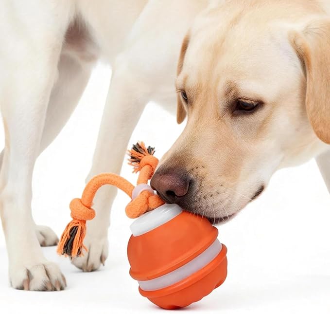 Interactive Smart Rolling Cat Toy Ball, Electric Automatic Moving Rolling Dog Toy with Rope and Sound, Motion Activated Dogs Ball, Self Moving Cats Toy for Boredom & Training (1, Sky Blue)