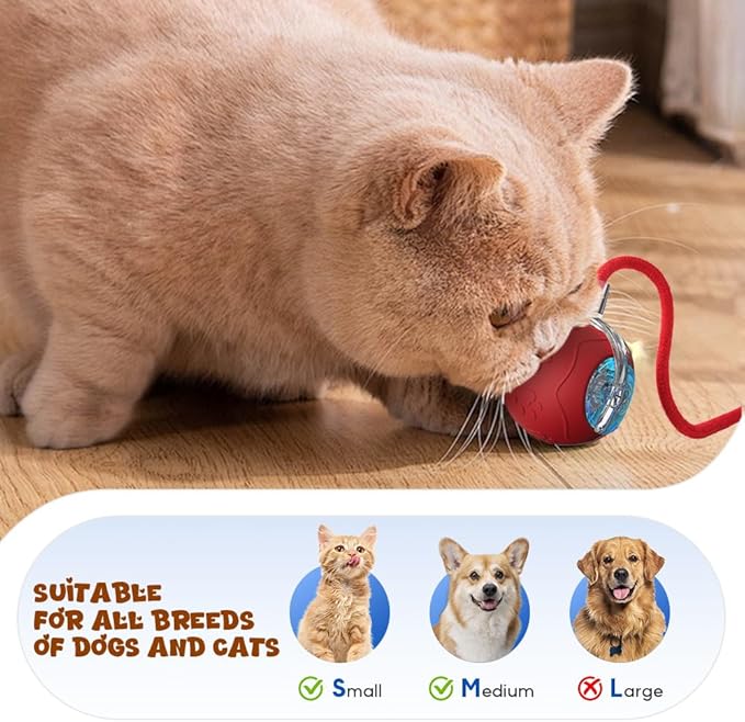 Interactive Cat Toys Ball for Indoor Cats, 2025 New Cat Toy, Automatic Moving Cat/Dog Balls, Electric Rolling Ball Toy for Bored Indoor Adult Cats,Dogs (Red)