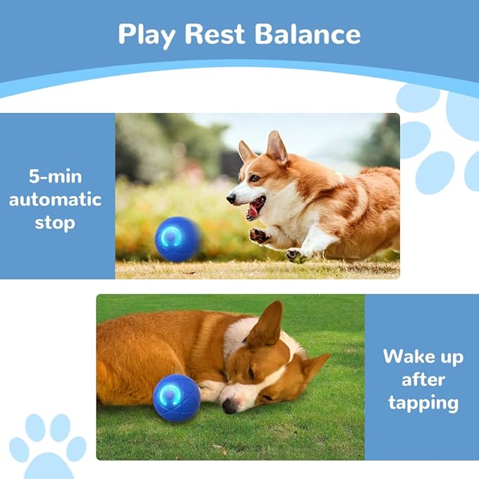 Interactive Dog Toys for Small Dogs, 2026 New Dog Balls Automatic Rolling Ball for Puppy Small Medium Dog and Cat, Self Moving Jumping Bouncing and Rotating Pets Toy to Keep Them Busy (Blue)