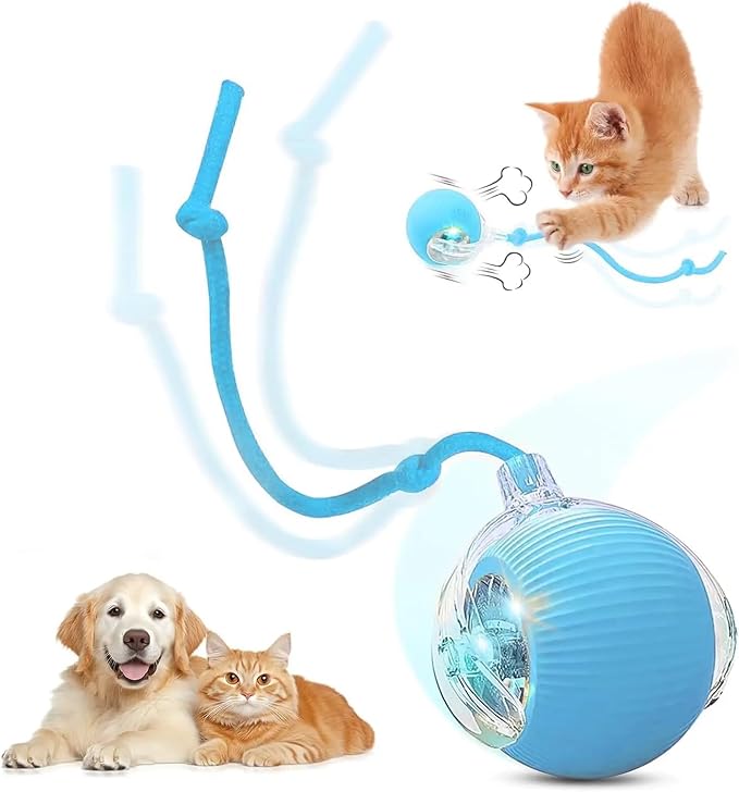 Smart Self‑Rolling Cat Ball with Tail – Interactive Rechargeable Chase Toy for Indoor Cats