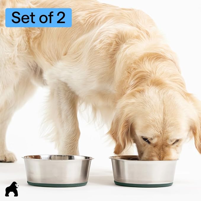 GORILLA GRIP Dog Bowls, Food Grade 304 Stainless Steel, Holds 4 Cups Each (32 fl oz) Food and Water Bowl for Feeding Dogs and Cats, Dishwasher Safe, Rust Resistant, BPA Free Rubber Base Set of 2 Green