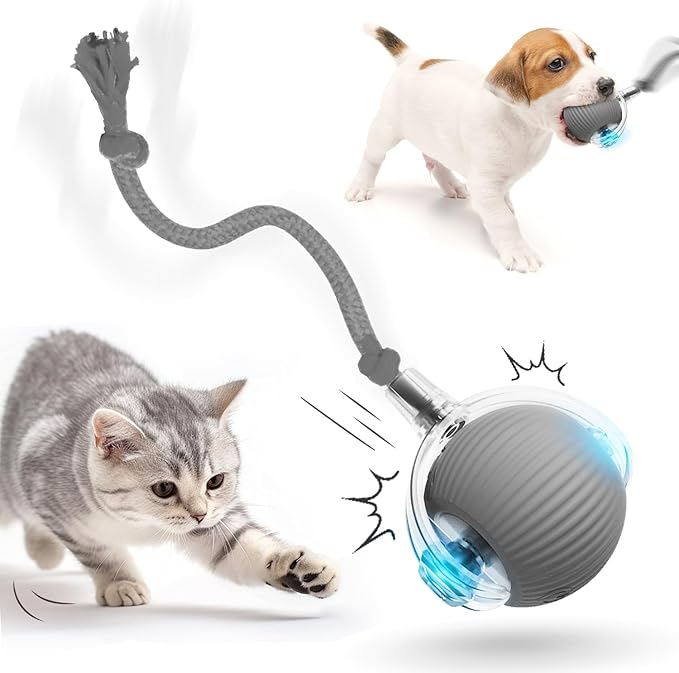 Interactive Cat Toy Ball, 2026 New Cat Toys for Indoor Cats, Smart Self Rolling Interactive Dog Ball Toys, Automatic Moving Peppy Pet Balls for Cats Kitten (Gray)