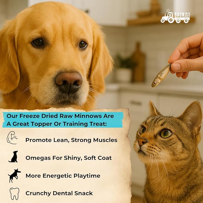 Premium Freeze Dried Minnows for Dogs & Cats - Single Ingredient Raw Dog Training Treats & Dog Food Topper - Made in USA - Gluten Free, Grain Free, High Protein, Rich in Omega-3s - (1.5oz)