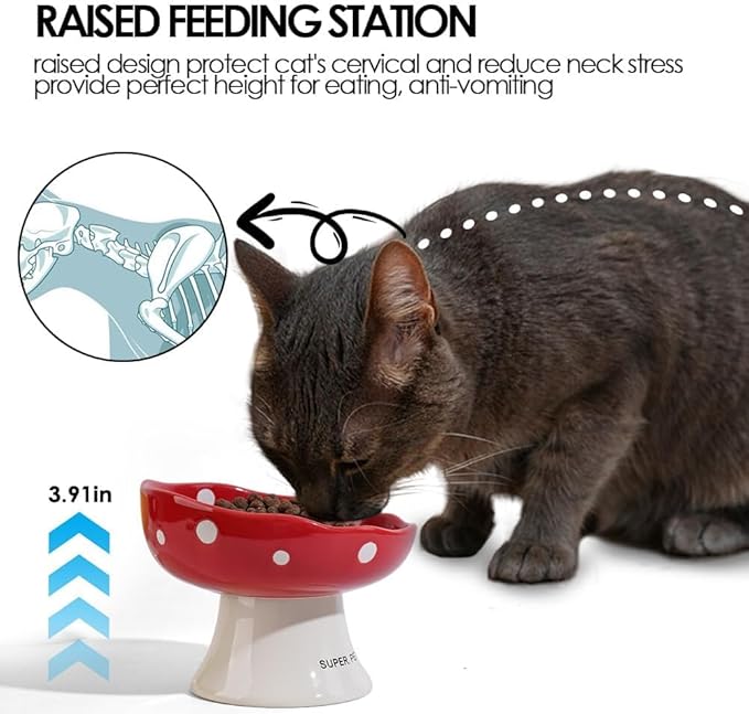 Ceramic Elevated Cat Bowls, Tilted Raised Pet Dish for Indoor Cats, Whisker Friendly Pet Food and Water Bowl for Kitten, Cat, Puppies, Dishwasher Safe (Purple)