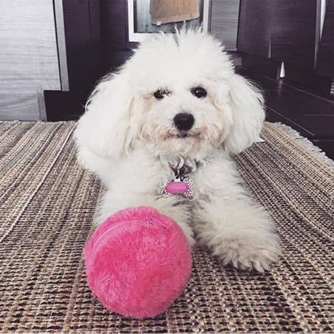 Active Rolling Ball for Dogs - Self Moving, Automatic, Electric, Funny Chew Plush Toys for Cats & Dogs