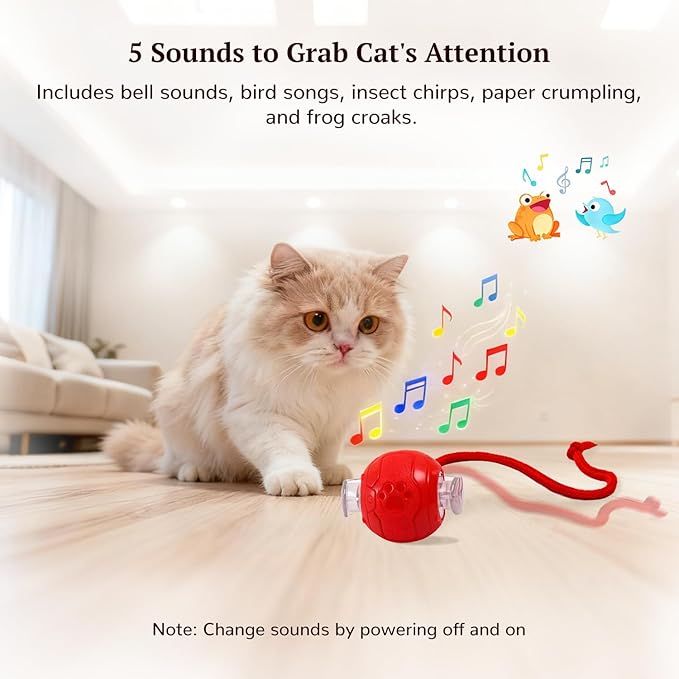 Interactive Cat Toy for Indoor Cats, Automatic Cat Ball Toy with Smart Obstacle Avoidance, 5 Sounds, 2 Tails, Rechargeable Moving Cat Toy for Bored Cats (Red)