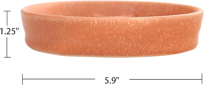 Ceramic Slow Feeder Cat Bowl, 6 Inch Shallow, Whisker Friendly, Dishwasher Safe (Orange)