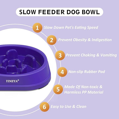 Anti-Choking Slow Feeder Dog Bowls Small Size Dog, Slow Feeder Cat Bowl, Supplies and Puzzle for Pet