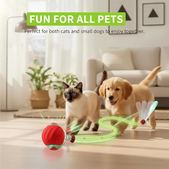Cat Toys for Indoor Cats – 2X Automatic Kitten Interactive Toy with Speedy Ball Tail as Pet Mental Stimulation - 2-Set Bundle - 2026 Edition (Random Color)