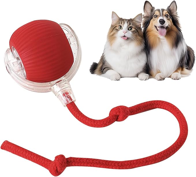 Interactive Cat Toys Ball,Movable Cat Toys, Smart 360° Automatic Rolling Pet Ball, USB Rechargeable, Ideal Pet Gift, Relieves Boredom for Indoor Cats