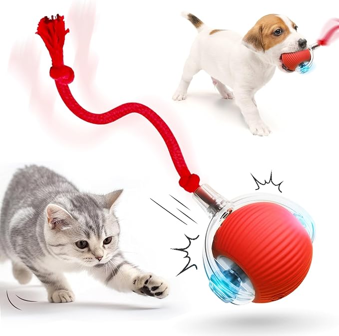 Interactive Cat Toy Ball, 2026 New Cat Toys for Indoor Cats, Smart Self Rolling Interactive Dog Ball Toys, Automatic Moving Peppy Pet Balls for Cats Kitten (Red)