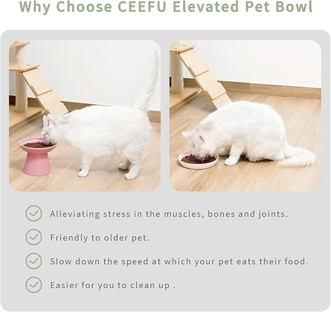 Extra Wide Elevated Ceramic Cat Water Bowl - 6.2" Deeper Dish for Whisker Fatigue Relief, 5" Height for Easy Feeding, Lead & Cadmium Free, Durable Raised Cat Bowls, Pink