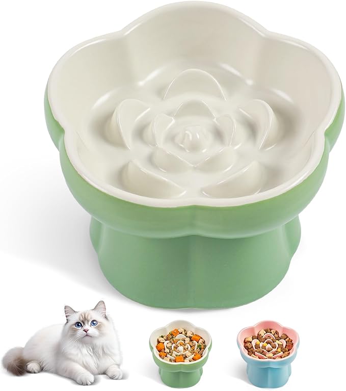 Cat Slow Feeder Bowl Set - 1 Pcs Pastel Series Cat Plate for Dry and Wet Food - Cute Maze Feeder Dish for Healthy Eating- Slow Feeding Bowls Whisker Friendly - Dishwasher Safe(Green)