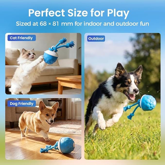 Interactive Dog Toys, 2026 Upgraded Motion Activated Automatic Rolling Ball Toys for Small/Medium/Large Dogs, 360° Smart Automatic Rolling Moving Balls for Boredom to Keep Them Busy (Orange)