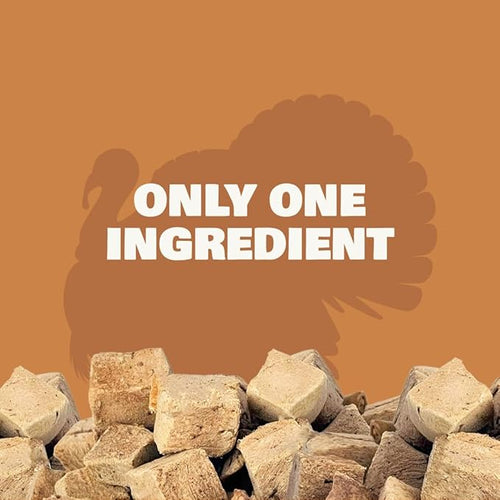 Benji & Louie Freeze Dried Turkey Bites for Dogs & Cats – Single Ingredient Treats, Grain-Free – 3 oz (85 g) (Turkey)