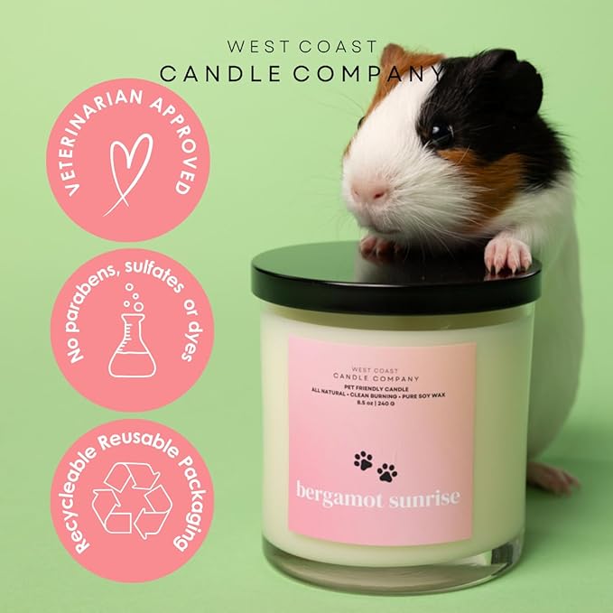 Lavender | Pet Safe Wax Melts | All Natural Soy | Non-Toxic | Dog Friendly | Vet Approved | Long Lasting Home Fragrance | Pet Odor Eliminator | Clean Burning Wax Cubes | Safe Air Freshener