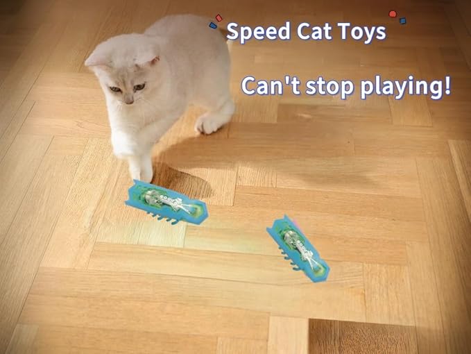 Cat Interactive Teaser Toys Educational Cat Teaser Toy 2PCS Electronic Beetle Interactive Set for Indoor Cats Kitten Chase Exercise Heal Loneliness Replaceable Battery