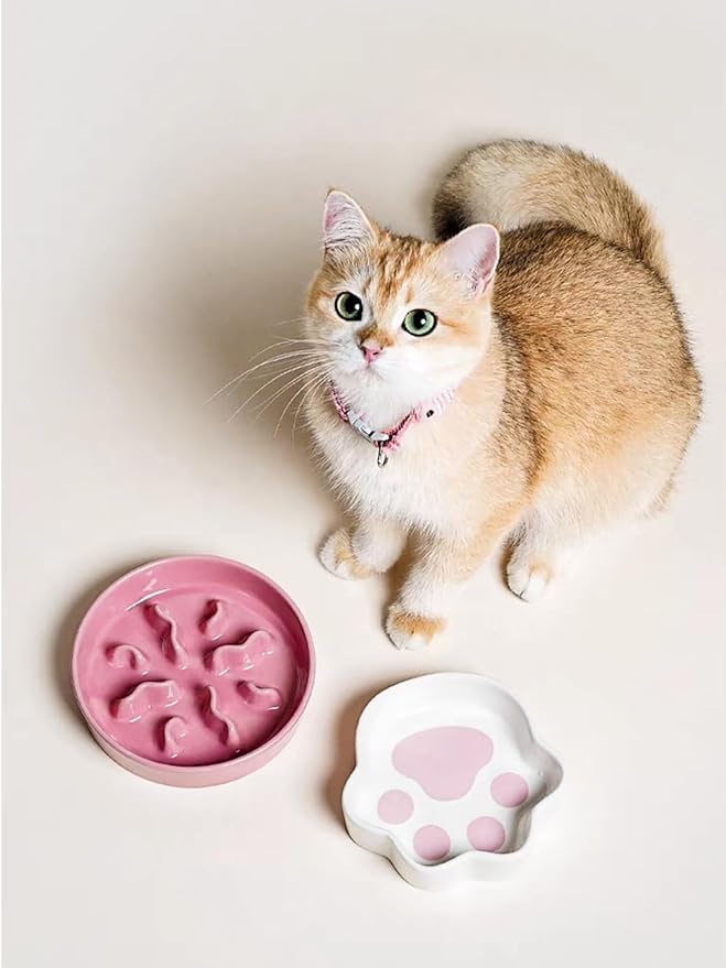 LE TAUCI Cat Food Bowl Ceramic, 8 oz Small Shallow for Indoor Kitten,Relief Whisker Fatigue Cute Paw Design Pet Dish with Slow Feed Function