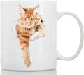 Winston & Bear Climbing Ginger Cat Mug – Funny Orange Tabby Ceramic Coffee Mug Gift for Cat Lovers (11oz)