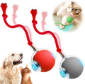 Smart Interactive Cat Toys - Automatic Ball Toys with Cord Imitation Mouse (Red+Gray)