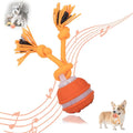 KumCinn Power Tail 2.0 Automatic Moving Dog Ball - Interactive Dog Toy | Self-Rolling, Motion Activated Electric Pet Ball to Keep Dogs Busy & Relieve Boredom (Suitable for All Dog Breeds)