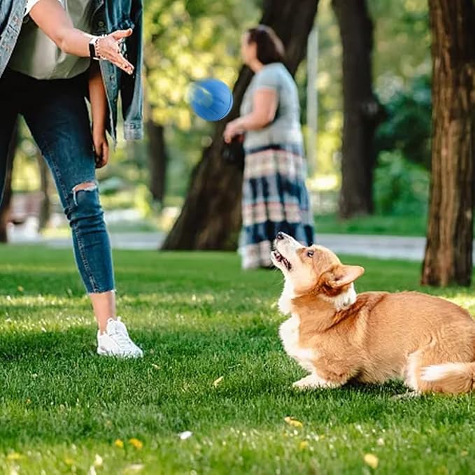 Interactive Pet Toy Automatic Rolling Ball - 2025 New Touch Motion Activated Ball for Dogs and Cats to Relieve Boredom - LED Flash Dog Toy (2 Colors)
