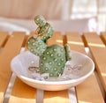 PUDDING CABIN Cactus Gifts for Women Cactus Ring Holder Dish Birthday Gifts for Women Girls Friends, Cactus Decor for Bathroom Nighstand, Wedding Valentine's Day Xmas Gifts Mothers Day Gifs