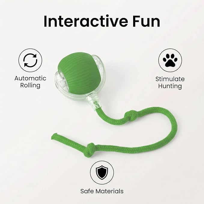 Interactive Dog Cat Toy Ball, Electric Automatic Rolling Moving USB Rechargeable Self Activated Stimulation Cat Toys for Indoor Cats and Dogs with Speedy Tail Rope(Green).