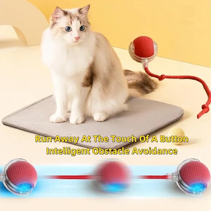 Interactive Electric Dog Ball Toy - USB Rechargeable Smart Pet Bounce Ball, Automatic Moving Toy for Dogs (Green-A)