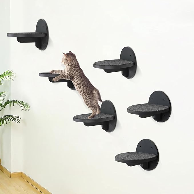 Cat Wall Shelves Furniture Set of 6, Wooden Cat Steps for with Scratching Pad, Sturdy Floating Climber Ladder Stairs, Cats Climbing Wall Systems for Cats Sleep Climb Play