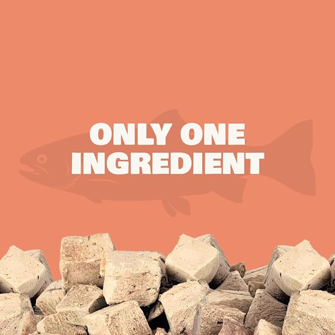Benji & Louie Freeze Dried Salmon Bites for Dogs & Cats – Single Ingredient Treats, Grain-Free – 3 oz (85 g) (Salmon)