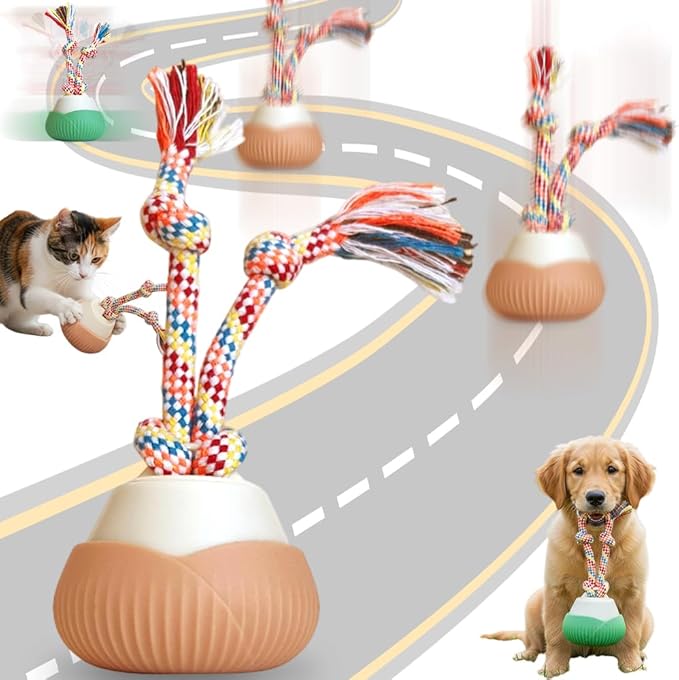 2026 New Interactive Dog Toys, Automatic Moving Interactive Cat Toy with 3 Speed Modes, USB Rechargeable Smart Motion Rolling Ball with Tail Rope, Indoor for Small Medium Large Dogs (Orange)