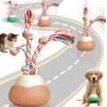 2026 New Interactive Dog Toys, Automatic Moving Interactive Cat Toy with 3 Speed Modes, USB Rechargeable Smart Motion Rolling Ball with Tail Rope, Indoor for Small Medium Large Dogs (Orange)