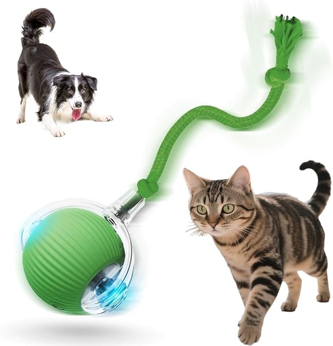 Interactive Cat Toys for Indoor Cats, 2025 New Motion Activated Cat Balls with 360° Smart Automatic Rolling Moving for Bored Pet Cats Dogs (Green)