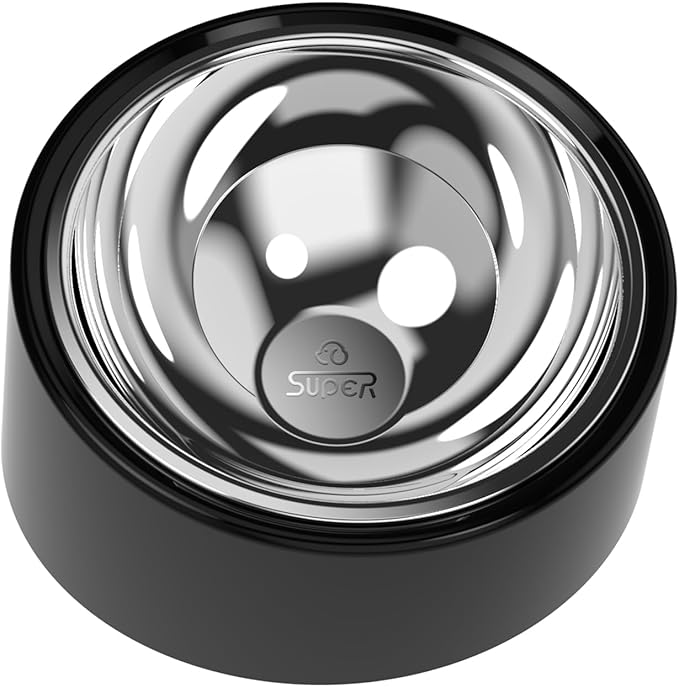15° Tilted Slow Feeder- Non-Spill & Non-Slip Stainless Steel Dish for Small & Cats - Detachable 160ml Elevated Black (Size S)