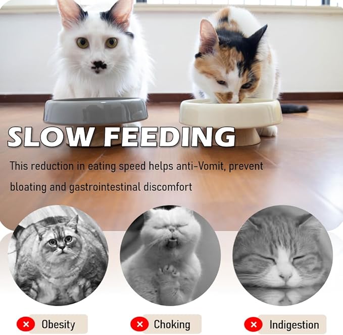 Ceramic Cat Slow Feeder, Raised Slow Feeder Cat Bowl, Anti Vomiting and Whisker Friendly Kitty Dish, Elevated Puppy Kitten Bowl for Dry and Wet Food (Gray)