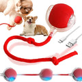 Peppy Pet Interactive Rolling Ball for Dogs & Cats - Upgraded Electric Self-Moving Toys (Red)