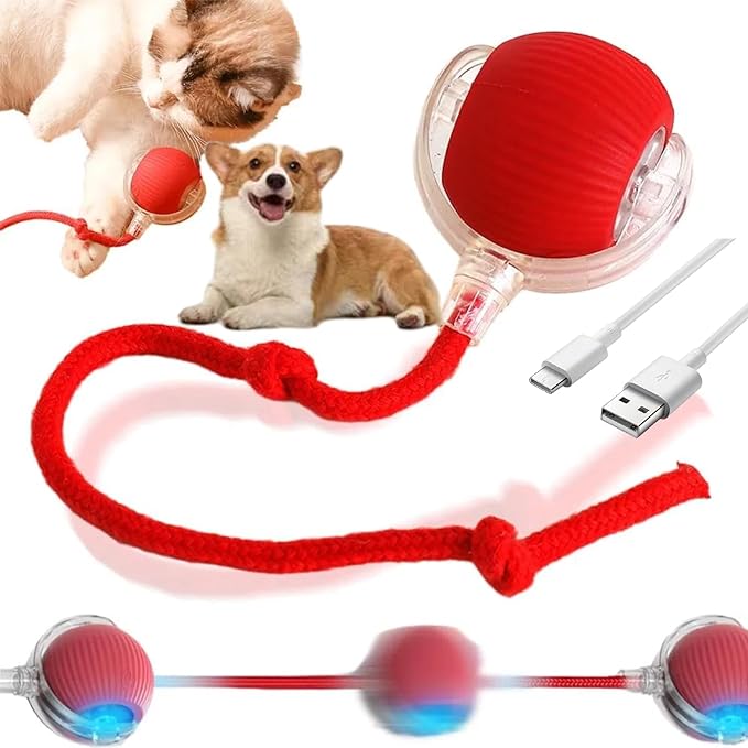 Peppy Pet Interactive Rolling Ball for Dogs & Cats - Upgraded Electric Self-Moving Toys (Red)