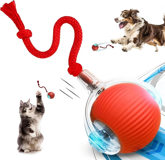 2.0 Smart Interactive Cat Dog Toy, 360° Automatic Rolling Ball with Jumping Feature, Red