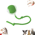 Vocal Dog Ball, Smart Motion Pet Ball, Interactive Cat Toys for Indoor Cats, Automatic Dog Toys, Rolling Balls Dog Toy, 360 Smart Automatic Electric DogBall Toy for Dogs and Cats