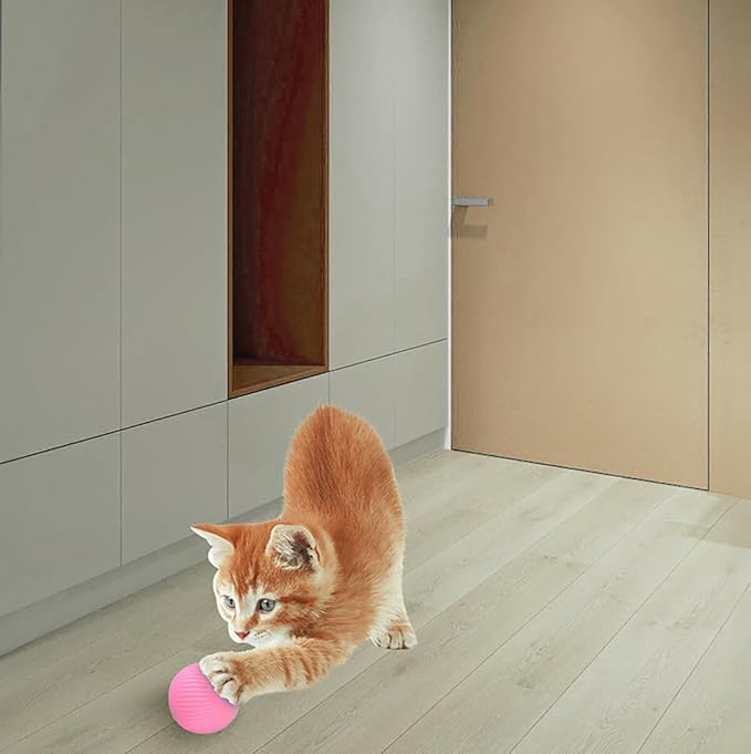 Wloom Cat Ball - Interactive, Self-Moving, Automatic Rolling Toy for Indoor Playing, Stimulates Hunting Instinct in Your Kitty (Pink)