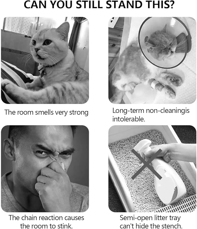 Cat Litter Box Physical Deodorization - No Need for Cat Litter Deodorizer Anymore, Pet Safer to Your Kitty, Window Litter Box