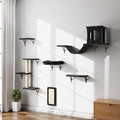 6-in-1 Cat Wall Shelves, Wall Mounted Cat Climber with Condo House, Scratching Post, Bridge Ladder, Space-Saving Indoor Play Furniture for Kittens, Black