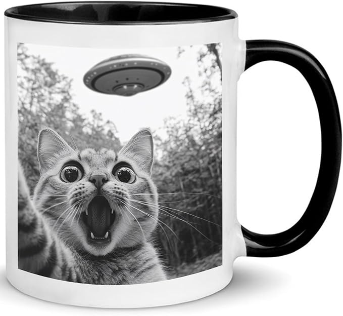 Funny Cat Selfie With UFO Alien Mug - Cat Lovers Gifts for Women, Men, Mom, Dad, Owner, Lady on Birthday, Halloween, Christmas - Humor Sarcastic Coffee Mug 11oz