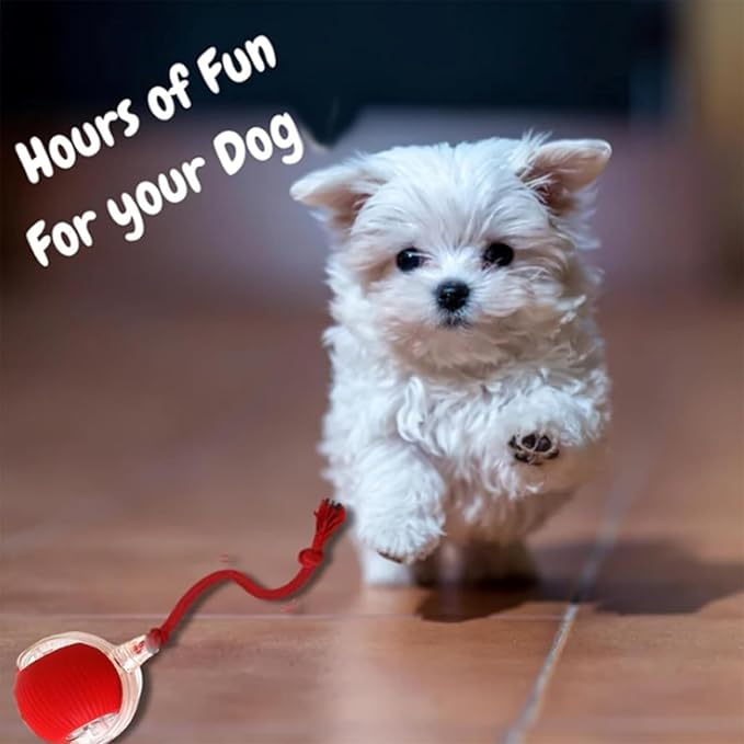 Interactive Dog Ball, Automatic Rolling Ball for Dogs & Cats, Active Pet Toy, Red, 1 Count