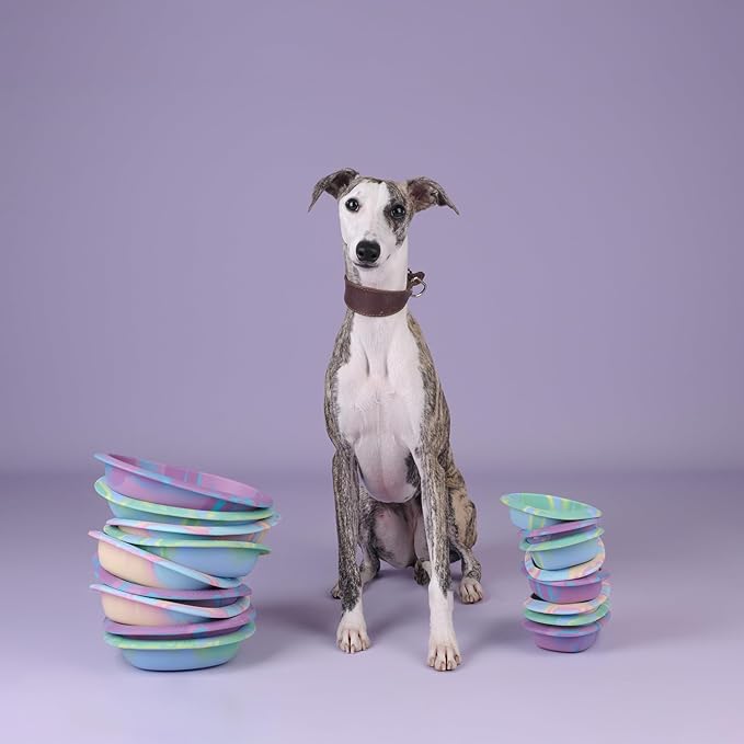CHEWFFON Easter Dog & Cat Lick Mat Bowls, BPA-Free Silicone Slow Feeder Bowl with Suction Cups, Non Slip Pet Food Bowl Reduces Boredom and Anxiety, Dishwasher Safe, Rainbow