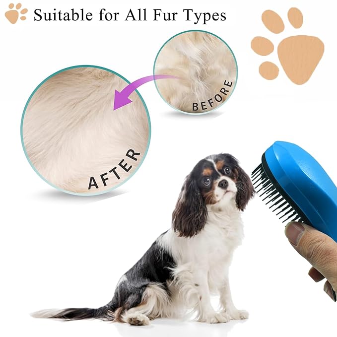 Small Dog Brush, Soft Pet Grooming Brush for Shih Tzus, Yorkies, Maltipoos, Maltese, Puppy Massaging Hair Brush, Cat Brush, for Small Animals Rabbits of All Hair Types (Starry Sky Blue)