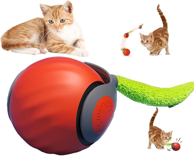 Interactive Cat Toy Ball for Indoor Cats,Automatic Moving Rolling Cats Toys with Tail, 2 Speeds Rechargeable Cat Enrichment Toys for Cats to Keep Them Busy (Orange)