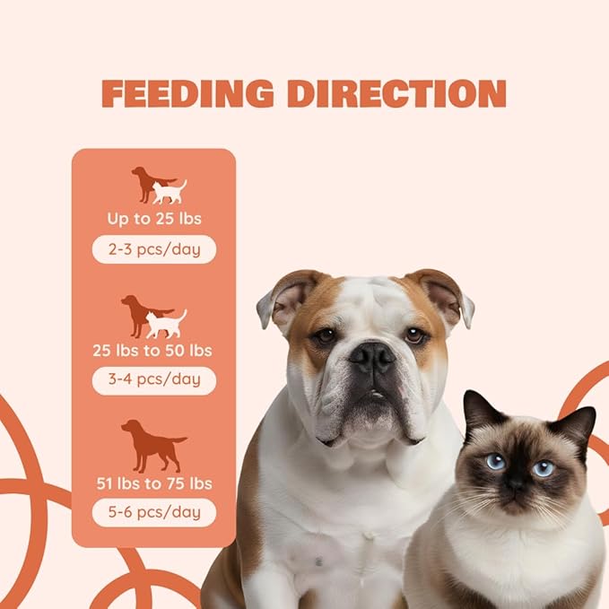Benji & Louie Freeze Dried Salmon Bites for Dogs & Cats – Single Ingredient Treats, Grain-Free – 3 oz (85 g) (Salmon)