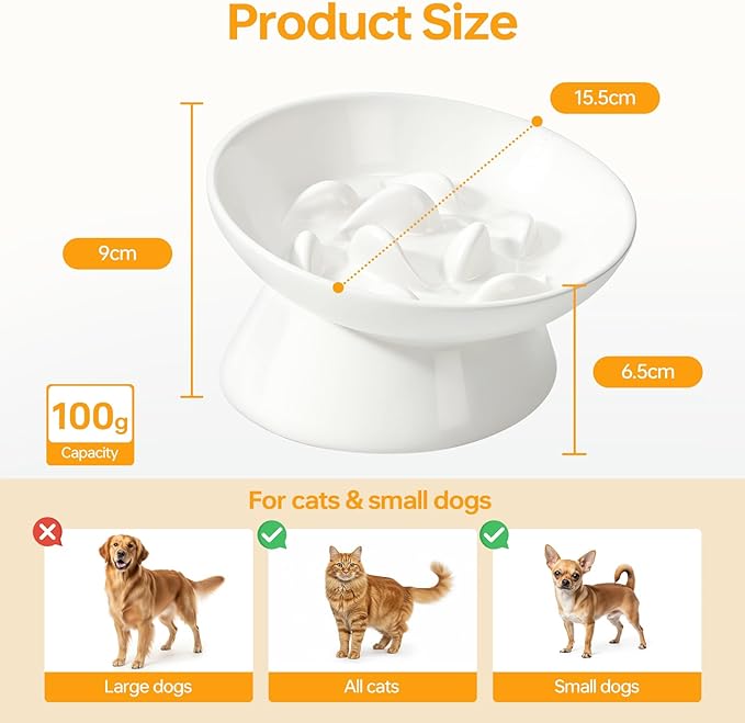 PETTOM Slow Feeder Cat Bowl, Ceramic Raised Cat Slow Feeder Bowl, Elevated, Anti Vomiting for Dry and Wet Food, White (1 Pack)